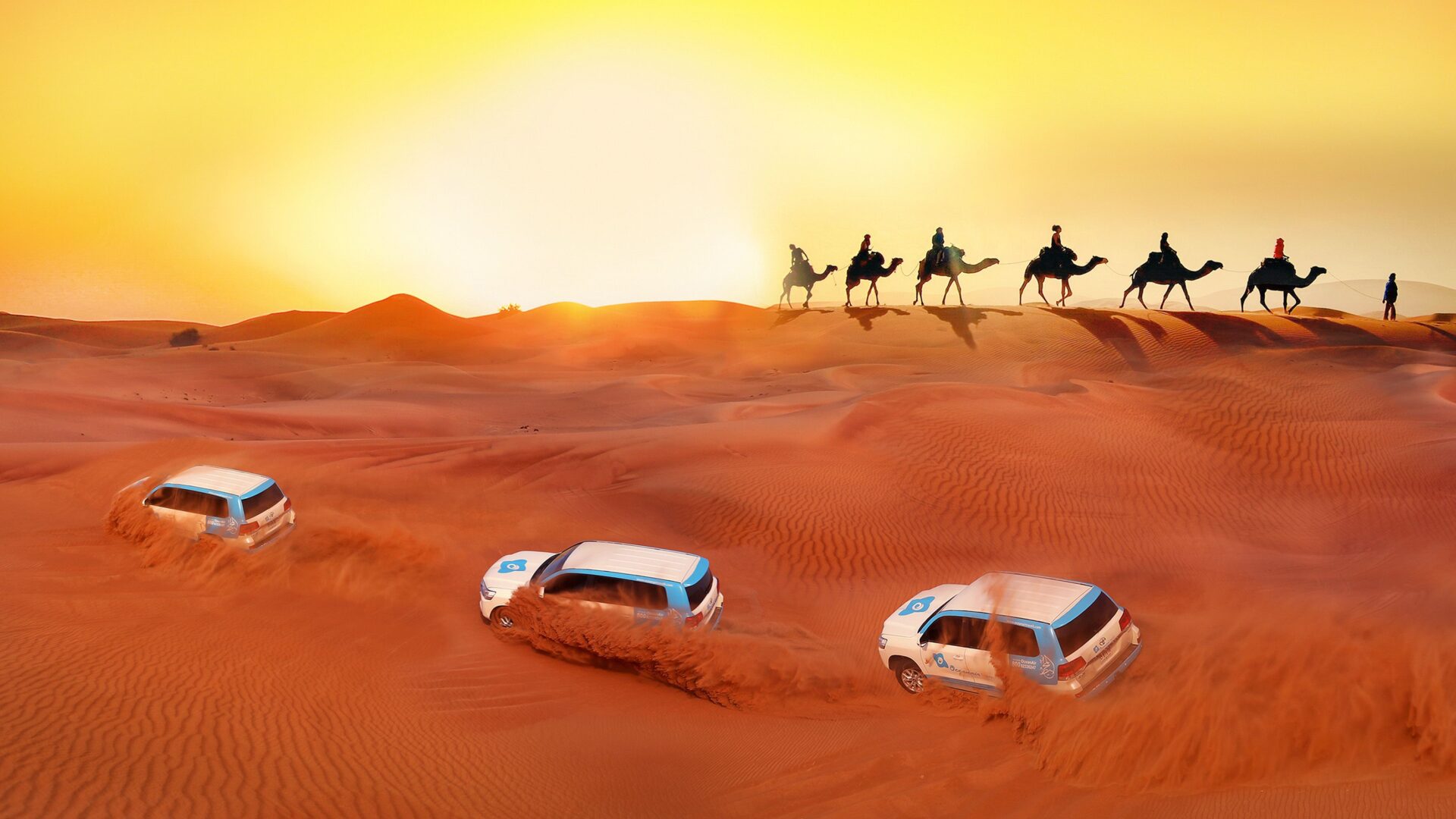 Exclusive Desert Safari Trip in Al Barsha Dubai Adventure