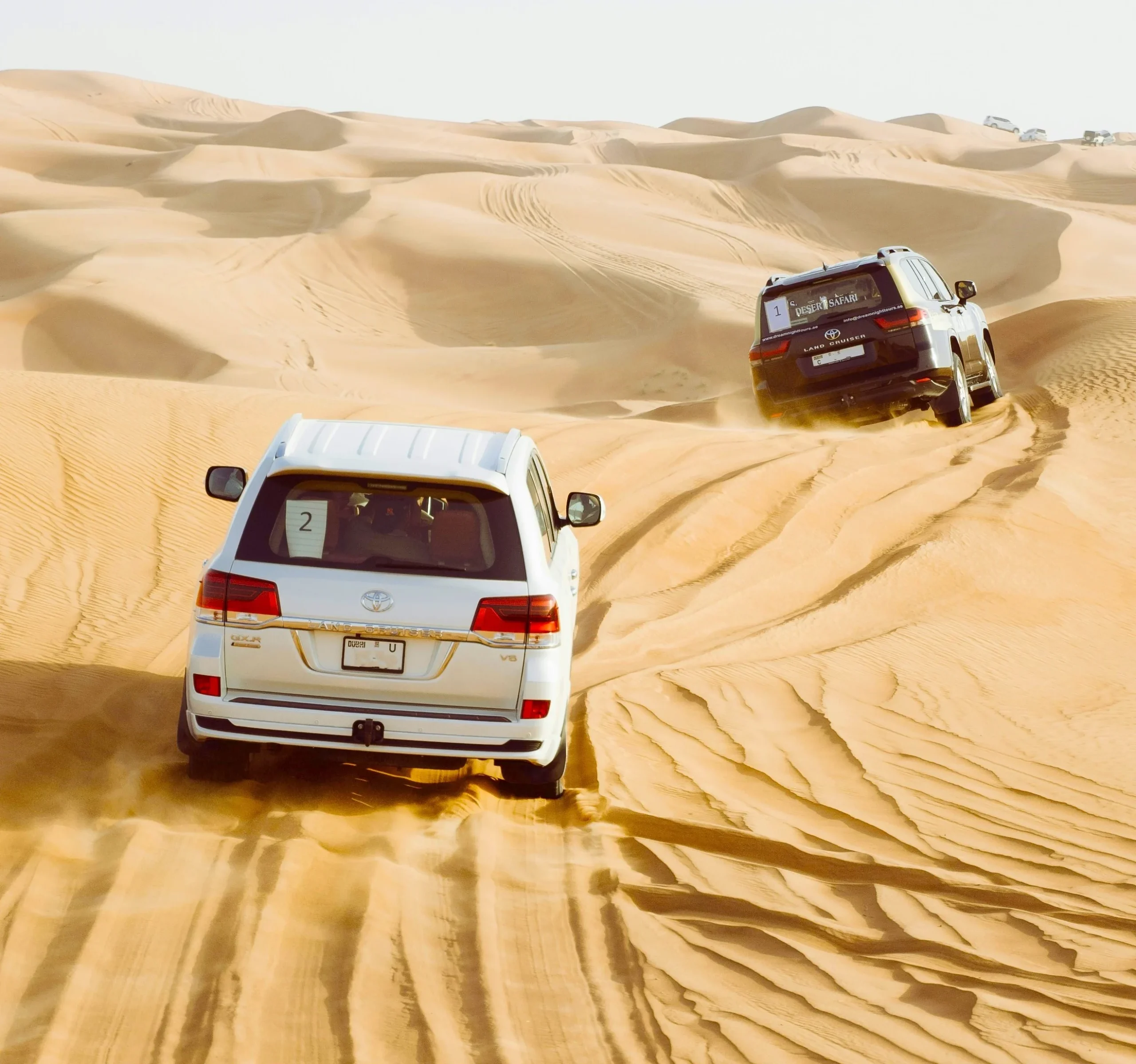 What Is Desert Safari Premium (Shared) in Downtown Dubai?