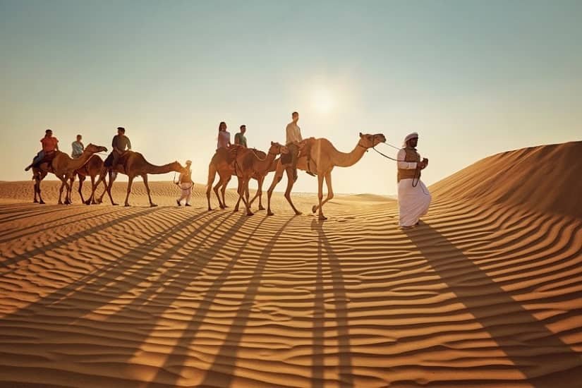 Book Desert Safari Abu Dhabi For Camel Riding