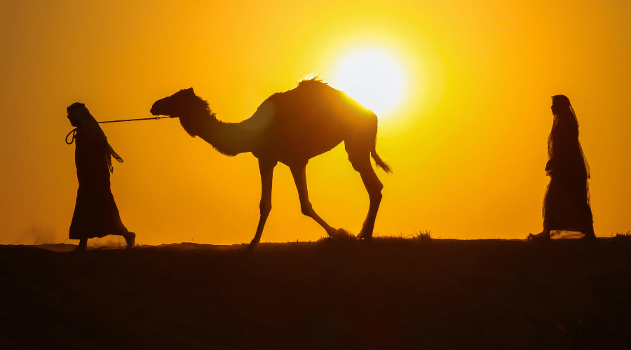 Evening Desert Safari Premium (Shared) in Dubai