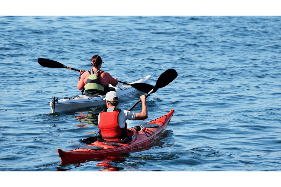 Eco-Friendly Kayaking Tour in Palm Jumeirah Dubai Practices